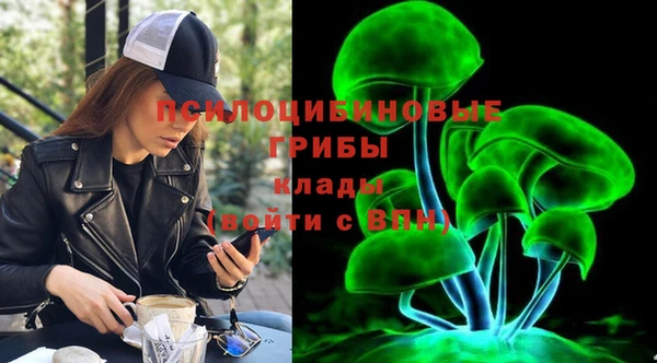 спайс Алзамай