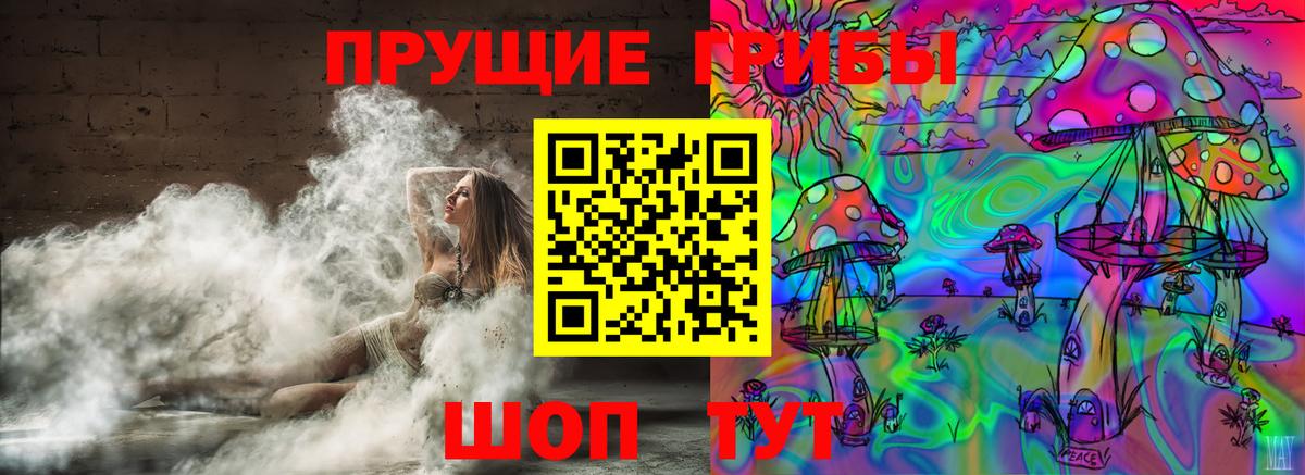Псилоцибиновые грибы Psilocybe  Вход с VPN  Асино 